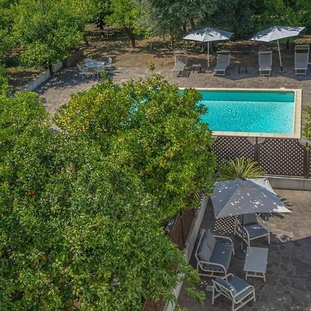 Casa Gege', For Up To 5 Guests, Shared Pool, Sorrento Center Apartment Exterior foto