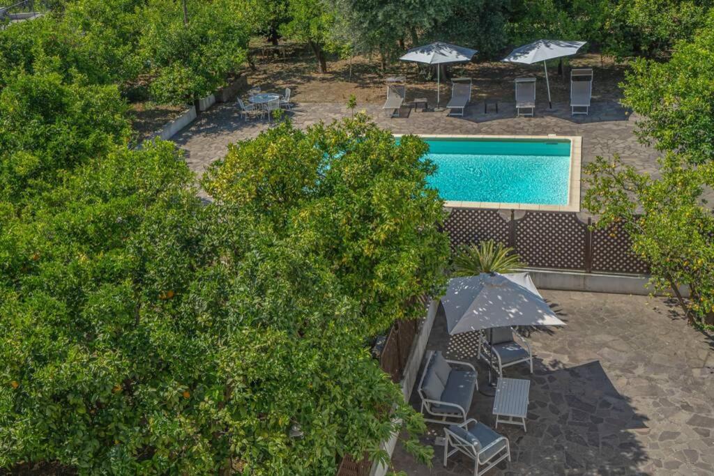 Casa Gege', For Up To 5 Guests, Shared Pool, Sorrento Center Apartment Exterior foto